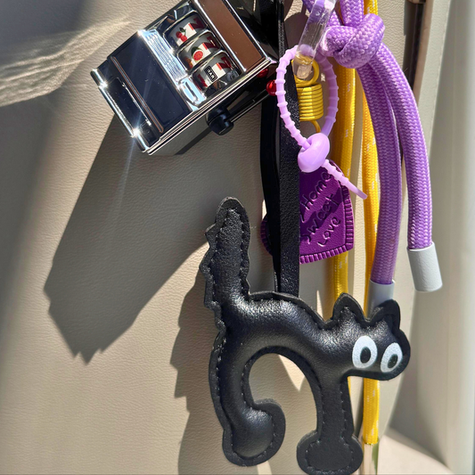 LUCKY BLACK CAT